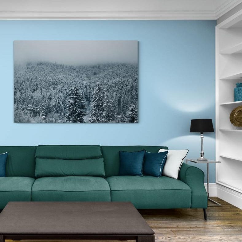 Tablou canvas romanesc - Pădure Înghețată - Cameradevis.ro