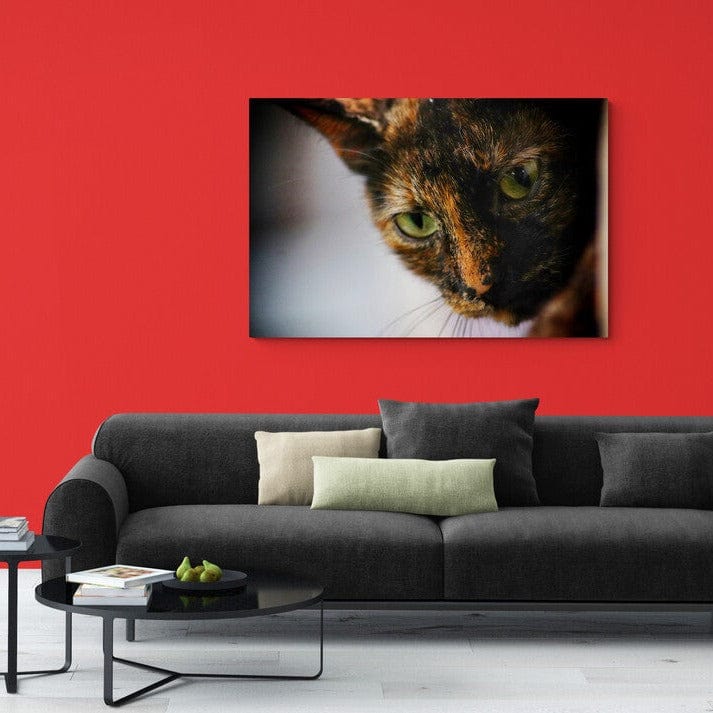 Tablou canvas romanesc - Pisoi - Cameradevis.ro