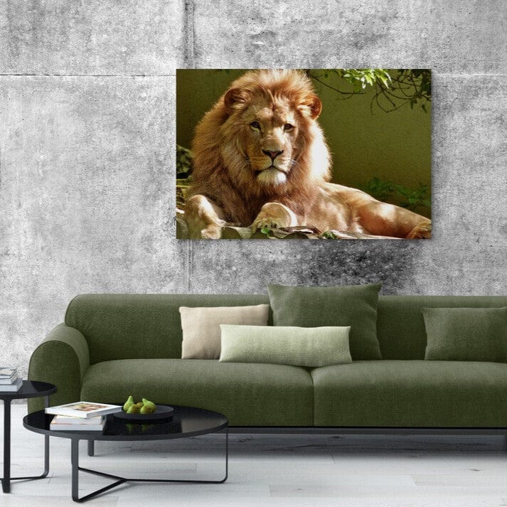 Tablou canvas - Leu - Cameradevis.ro Cameradevis.ro