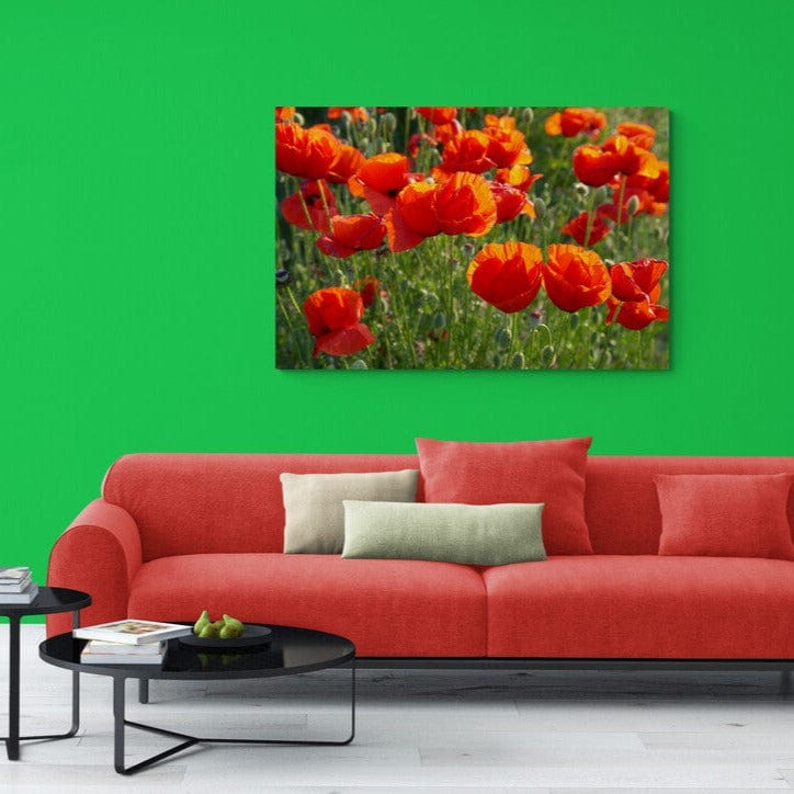 Tablou canvas -Flori de mac - Cameradevis.ro