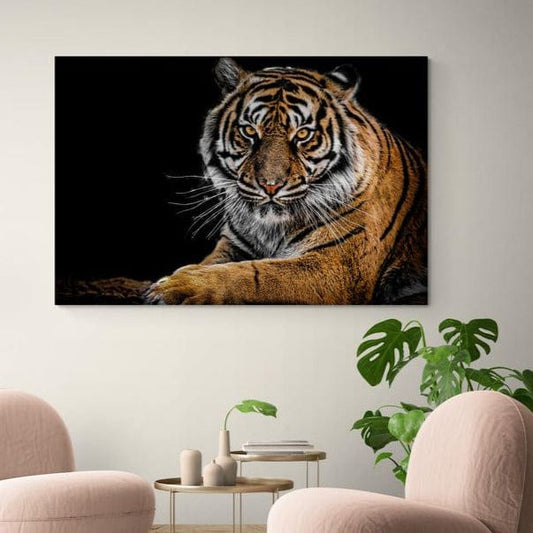 Tablou canvas - Tigru la panda - Cameradevis.ro Cameradevis.ro