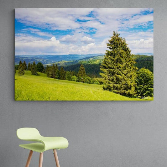 Tablou canvas romanesc - Jud.Neamt Imaginea de pe drumul (Axialul Durau - Izvorul Muntelui) - Cameradevis.ro Cameradevis.ro