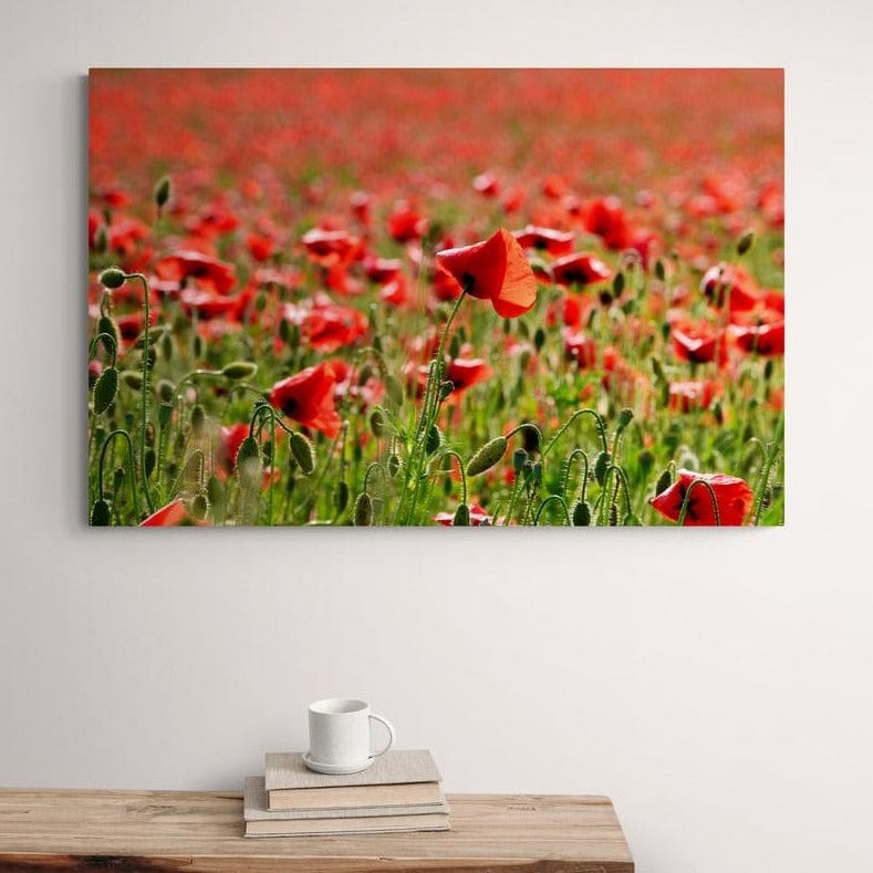 Tablou canvas romanesc - Cine urmează - Cameradevis.ro Cameradevis.ro