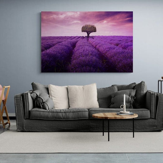 Tablou canvas -Lavanda 4 - Cameradevis.ro