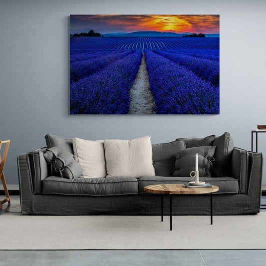 Tablou canvas -Lavanda 3 - Cameradevis.ro
