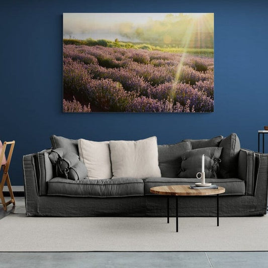 Tablou canvas -Lavanda 2 - Cameradevis.ro