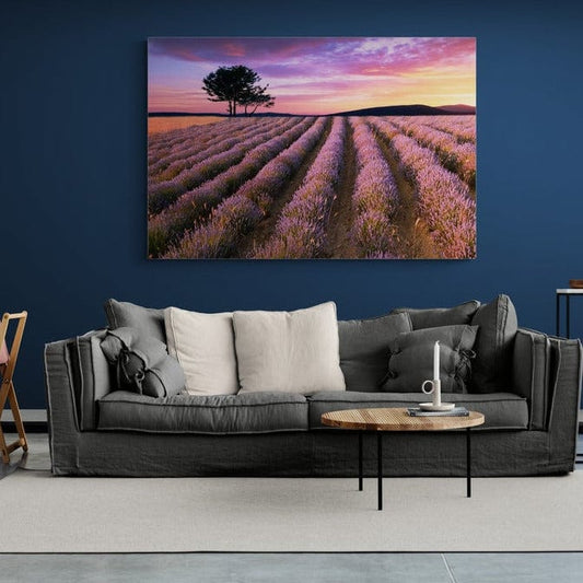 Tablou canvas -Lavanda 1 - Cameradevis.ro