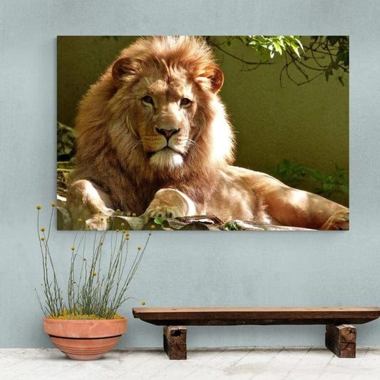 Tablou canvas - Leu - Cameradevis.ro Cameradevis.ro