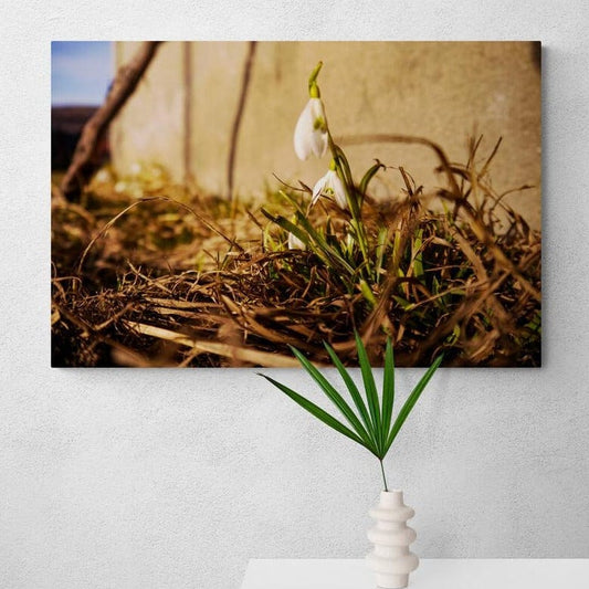 Tablou canvas romanesc - Sufletul protectiv, Petrila-Romania 10.03.2018 - Cameradevis.ro