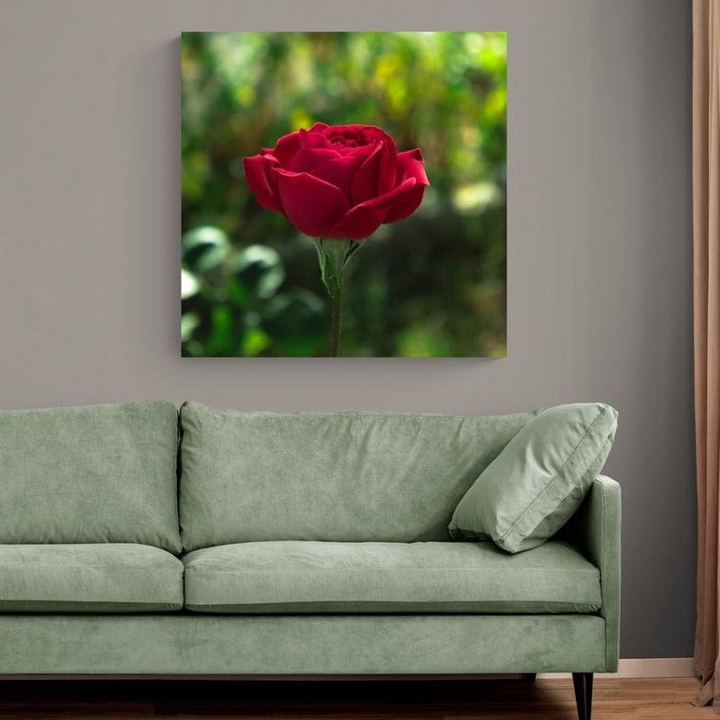 Tablou canvas romanesc - Trandafir în grădină - Cameradevis.ro