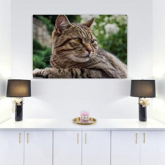 Tablou canvas -Pisicuta curajoasa - Cameradevis.ro