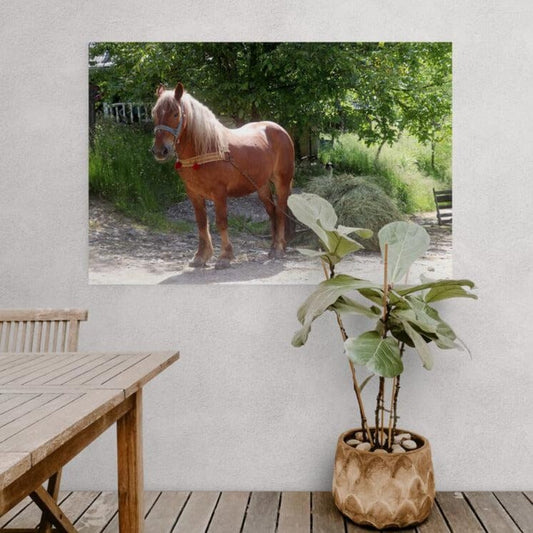 Tablou canvas romanesc - Viața la țară - Cameradevis.ro