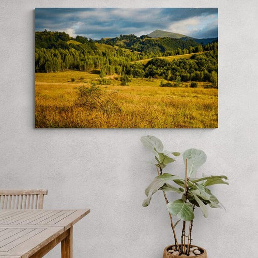 Tablou canvas romanesc - Sfarsitul veri, Citera-Petrila, Romania 19.08.2019 - Cameradevis.ro