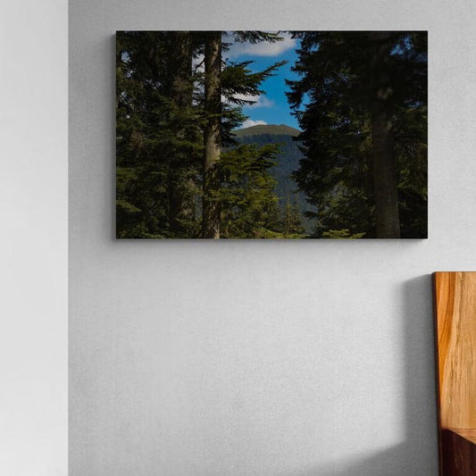 Tablou canvas romanesc - Muntii Baiului printre copaci - Cameradevis.ro