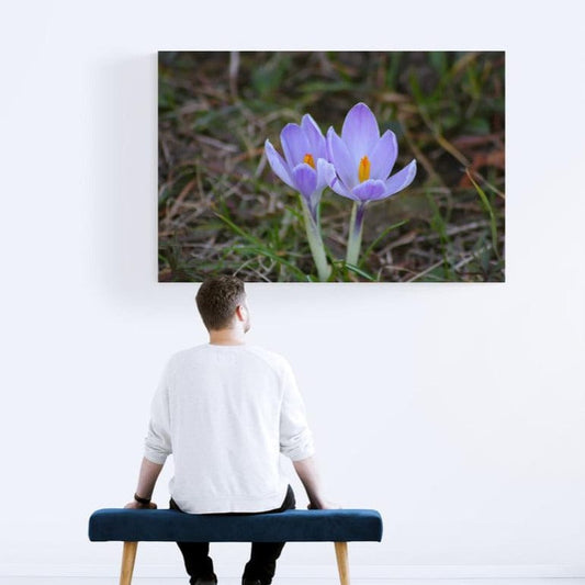 Tablou canvas romanesc - Floare-albastra de primavara - Cameradevis.ro