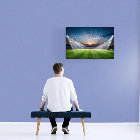 Tablou canvas - Stadion 3D - Zibo.ro