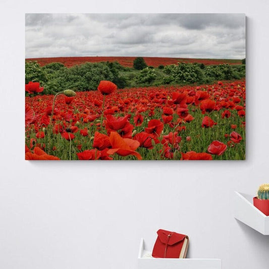 Tablou canvas romanesc - Maci-cât cuprinde privirea - Cameradevis.ro Cameradevis.ro