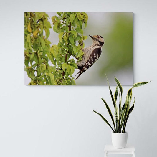 Tablou canvas romanesc - Ciocanitoare de munte - Cameradevis.ro