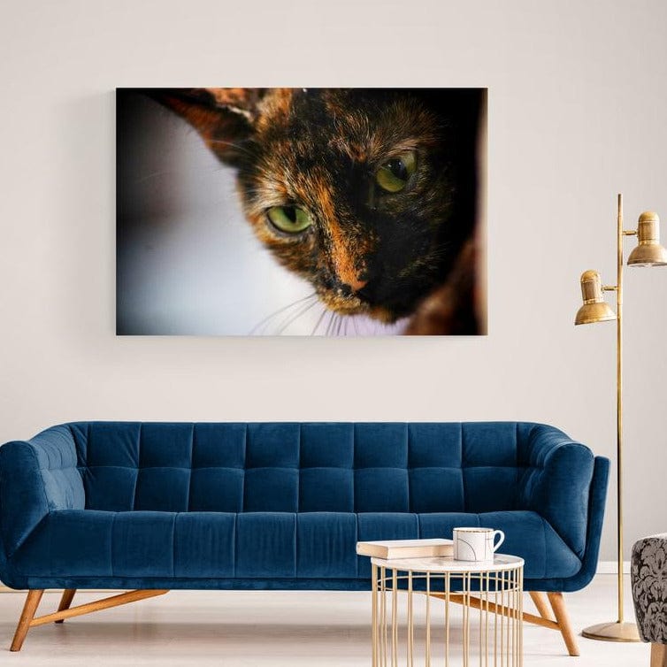 Tablou canvas romanesc - Pisoi - Cameradevis.ro