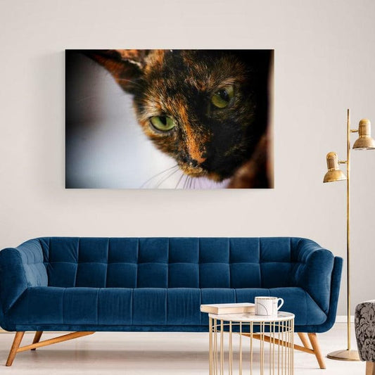 Tablou canvas romanesc - Pisoi - Cameradevis.ro