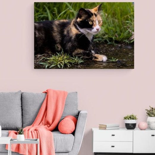 Tablou canvas -Pisica in iarba - Cameradevis.ro