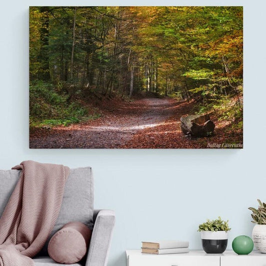 Tablou canvas romanesc - Toamna la poalele Bucegiului - Cameradevis.ro Cameradevis.ro