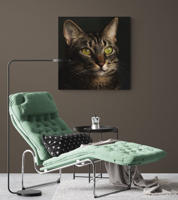 Tablou Canvas - Frumuselul2 - Cameradevis.ro Cameradevis.ro