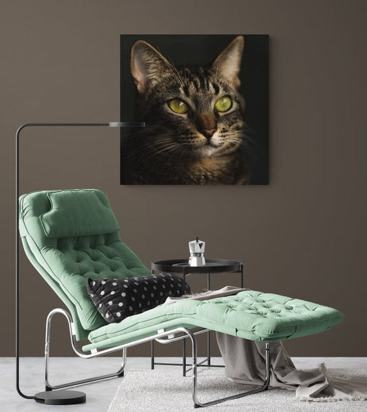 Tablou Canvas - Frumuselul2 - Cameradevis.ro Cameradevis.ro