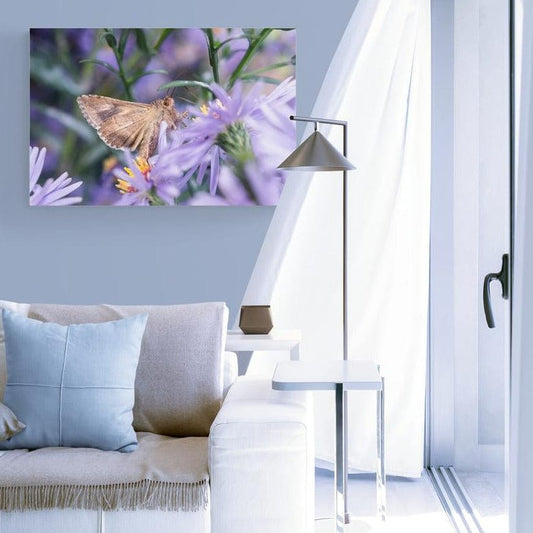 Tablou canvas - Peisaj super cu un fluture - Zibo.ro