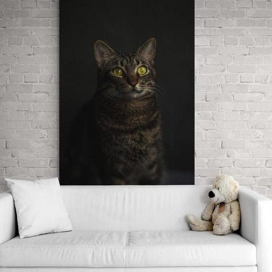 Tablou canvas - Pisoi - Cameradevis.ro