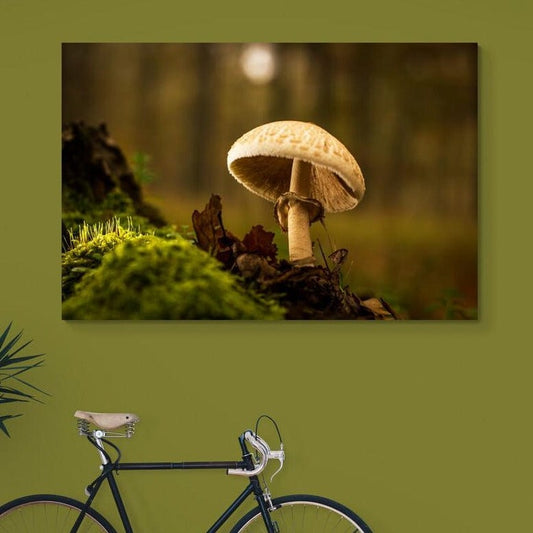 Tablou canvas romanesc - Solitar - Cameradevis.ro