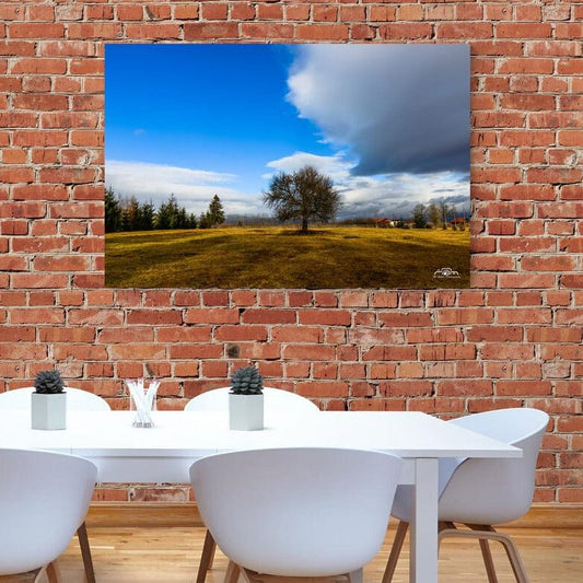 Tablou canvas romanesc - Copacul singuratic de la Borzont - Cameradevis.ro Cameradevis.ro