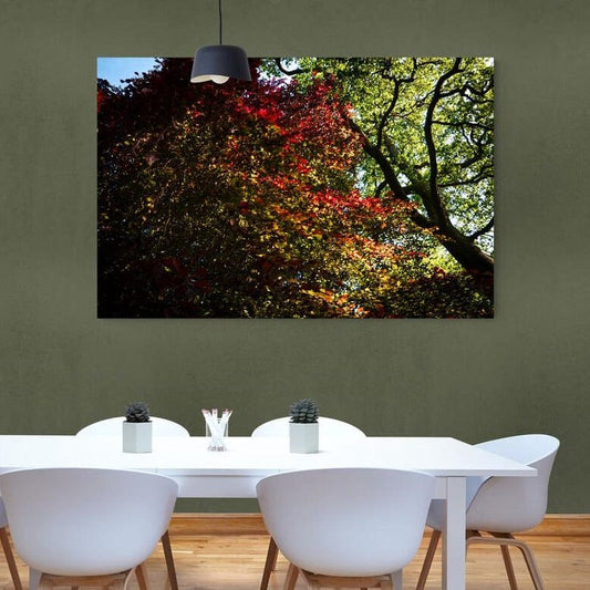 Tablou canvas romanesc - Culorile de sub pom, Oxford, Anglia 30.05.2021 - Cameradevis.ro