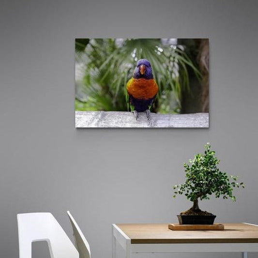 Tablou canvas -Pasare colorata - Cameradevis.ro