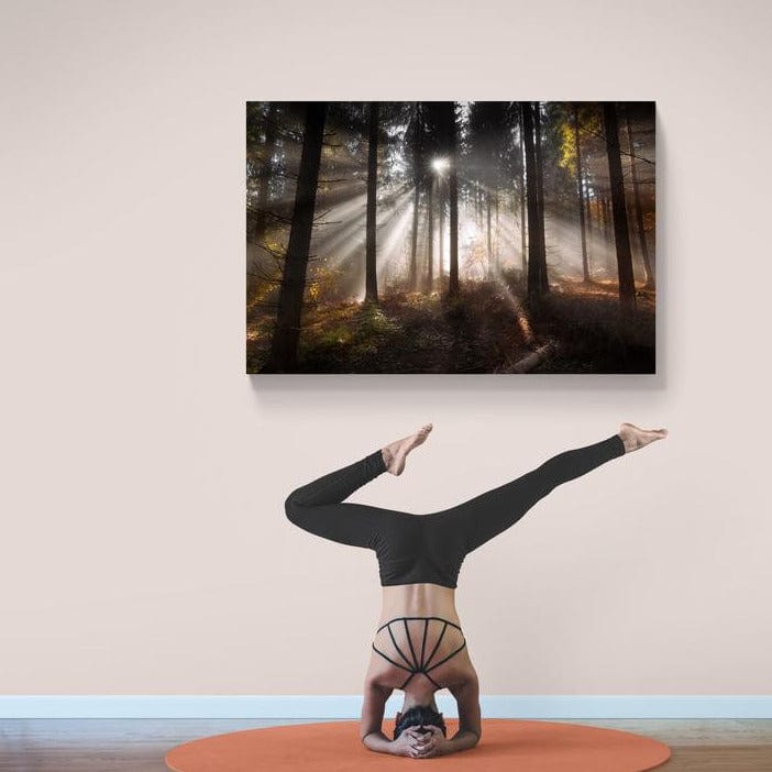 Tablou canvas romanesc - Buceș-Vulcan - Cameradevis.ro