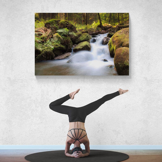 Tablou canvas romanesc - Pîrîu pe Harghita - Cameradevis.ro