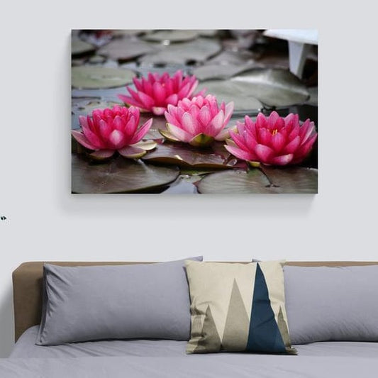 Tablou canvas romanesc - Nufar rosu - Cameradevis.ro