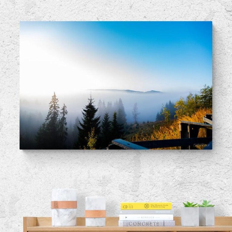 Tablou canvas romanesc - Pasul Mestecanis - Cameradevis.ro