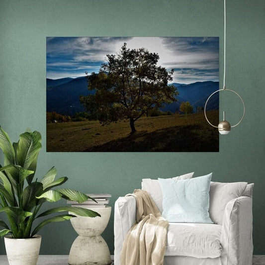 Tablou canvas romanesc - Valea Ierii - Cameradevis.ro