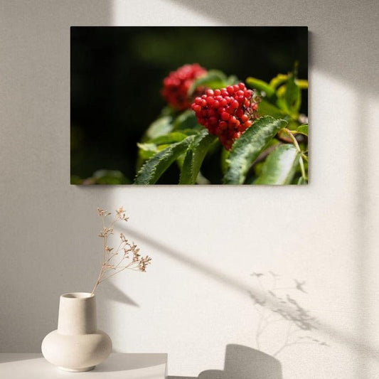 Tablou canvas romanesc - Ciorchine de coacaze rosii - Cameradevis.ro