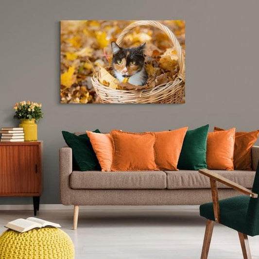 Tablou canvas - Pisicuta in cos - Cameradevis.ro