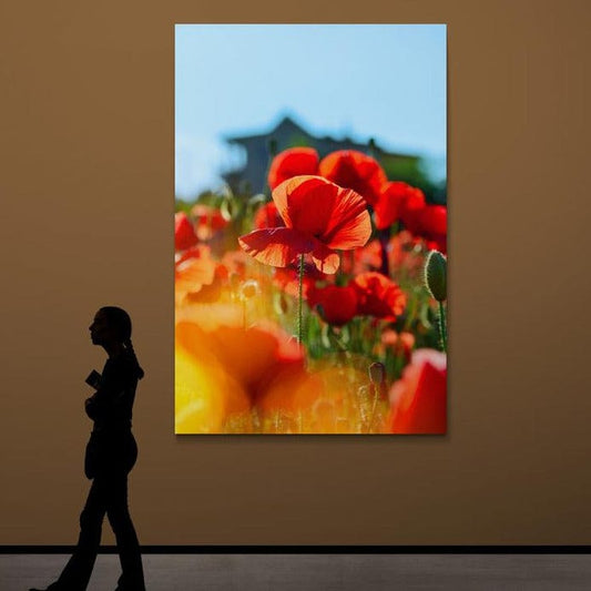 Tablou canvas - Maci - Cameradevis.ro Cameradevis.ro