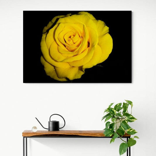 Tablou canvas romanesc - Trandafir - Cameradevis.ro