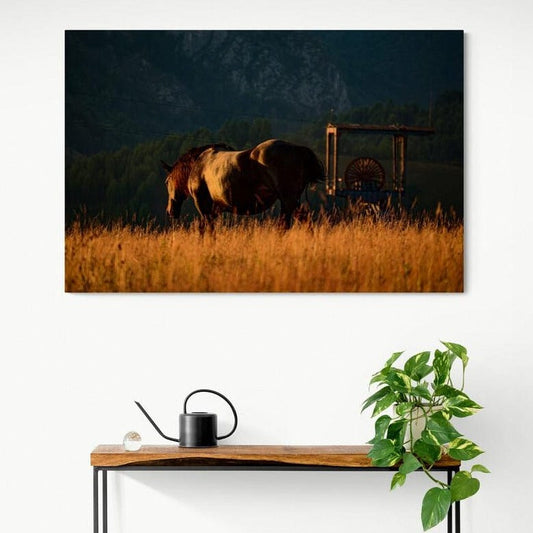 Tablou canvas romanesc - Maretia unei natiuni poate fi judecata prin felul cum isi trateaza animalele - Cameradevis.ro