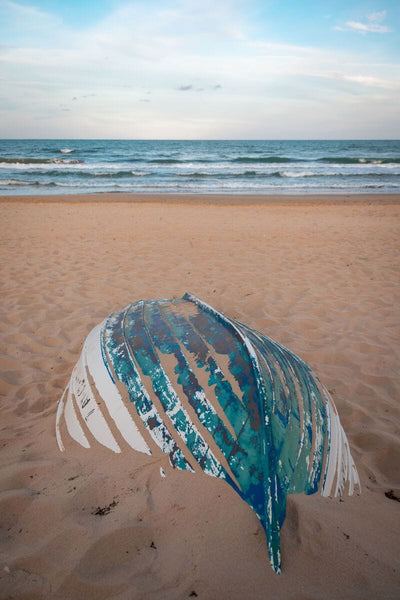 Tablou decorativ - Shipwrecked de Cristian Florin Cozminca