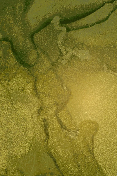 Tablou decorativ - Marmura Verde-Auriu 2