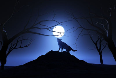 Tablou decorativ - Lup Urland la Luna
