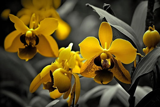 Tablou Canvas - Flori 227 Eleganta si Modernitate