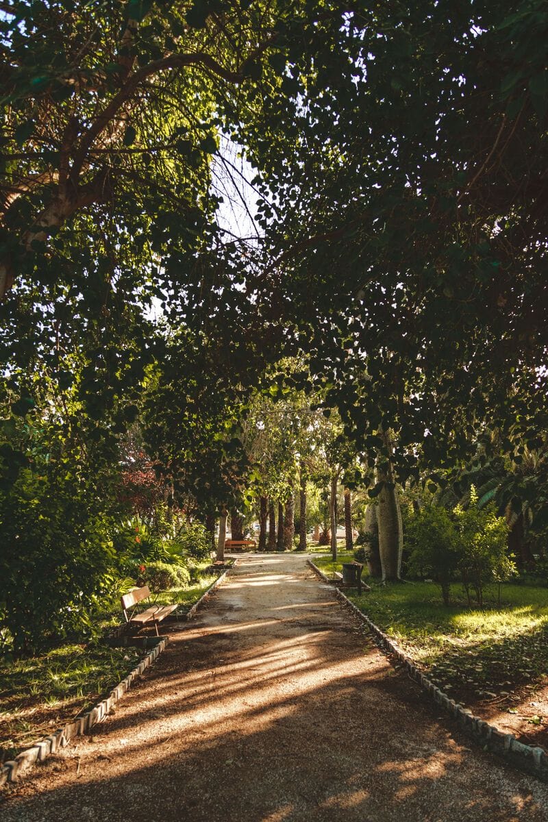 Daily walk