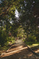 Daily walk